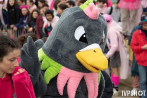 Course-02