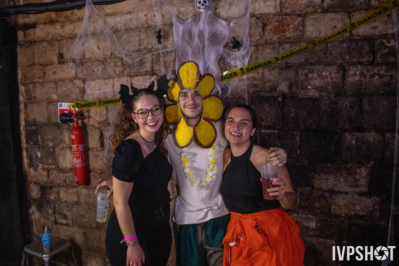 Halloween(511)