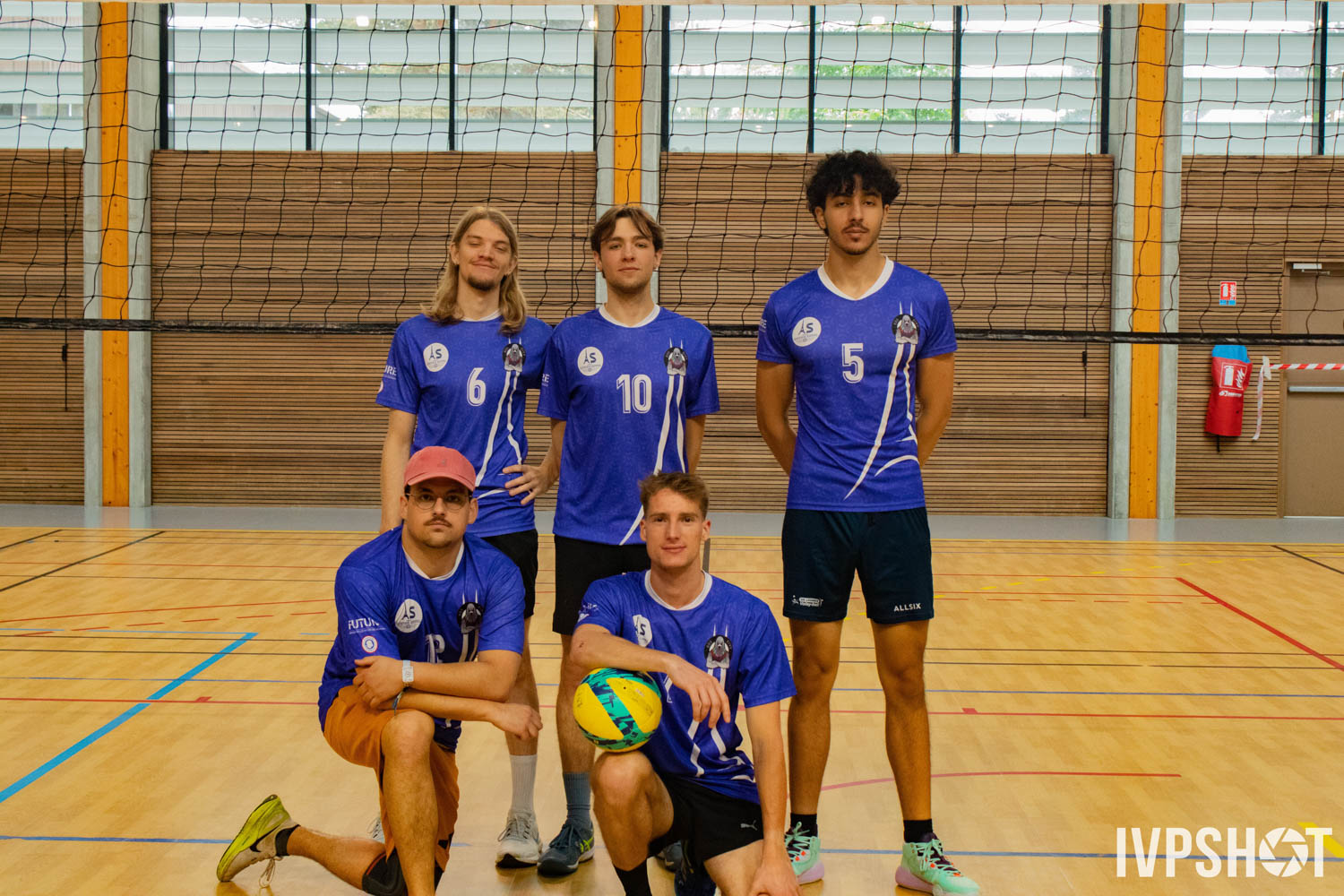 Toss(381)