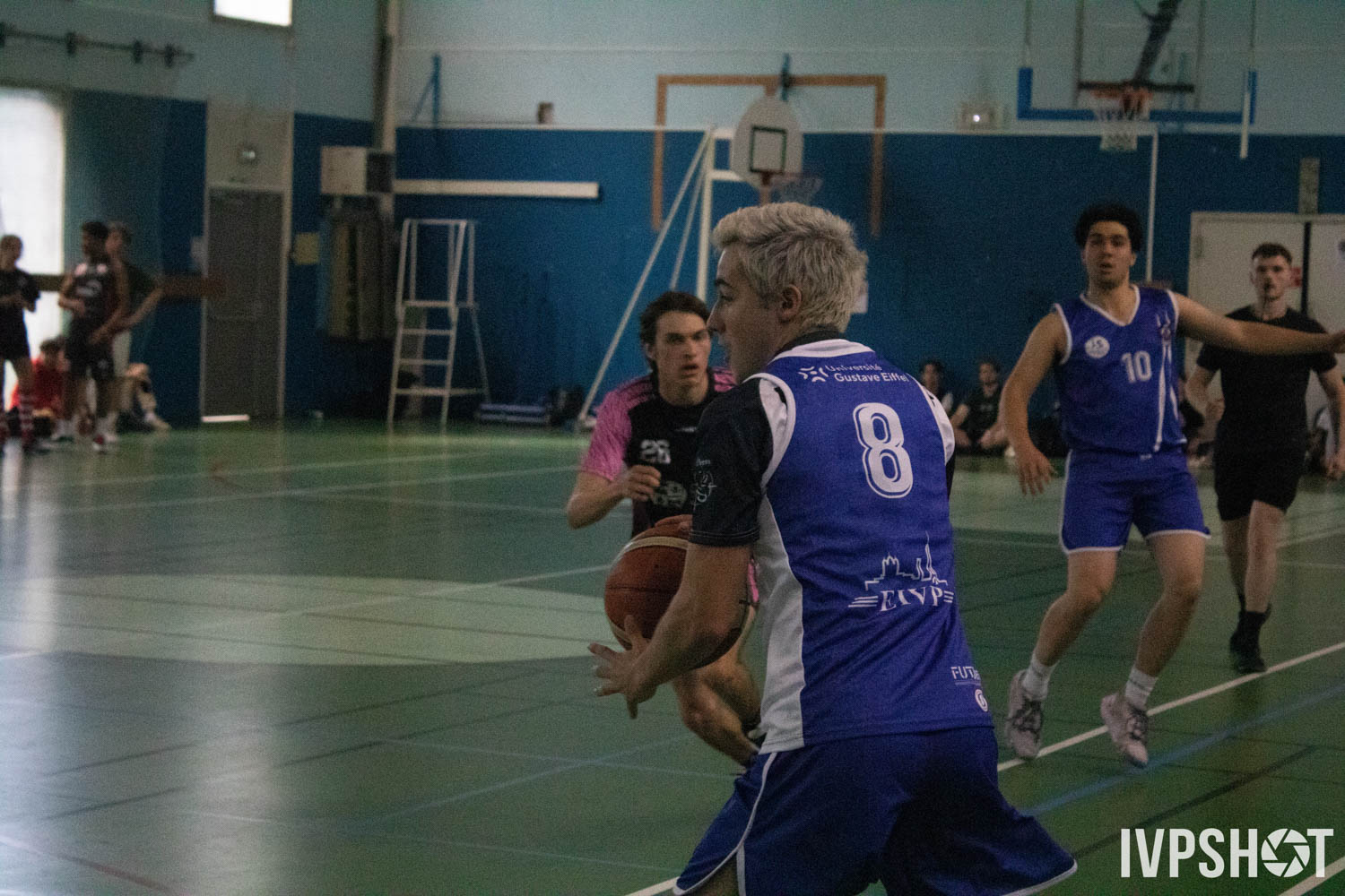 Toss(397)