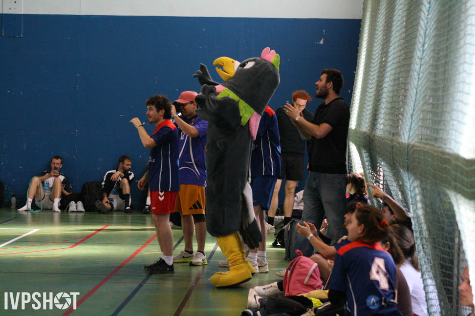 Toss(415)