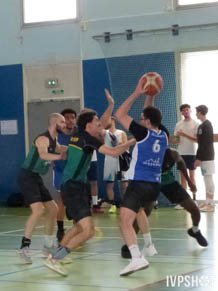 Toss(441)