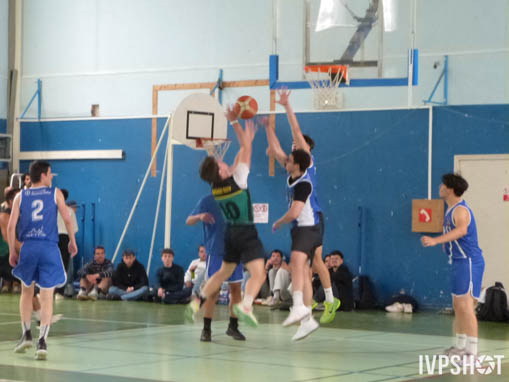 Toss(445)