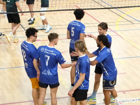 Toss(461)