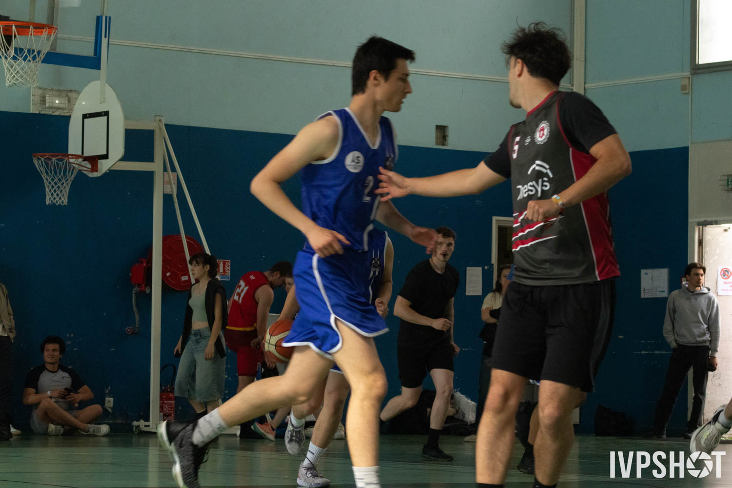 Toss(484)