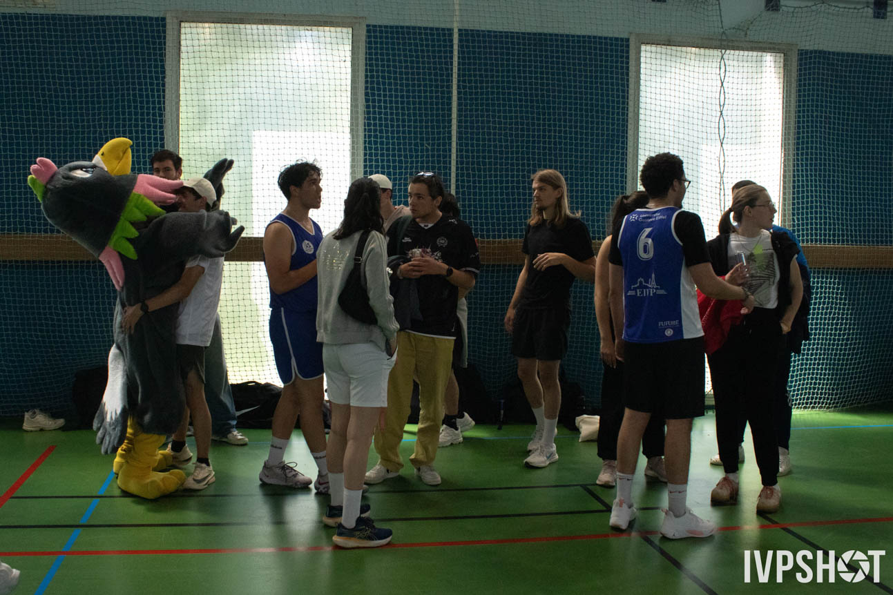 Toss(503)