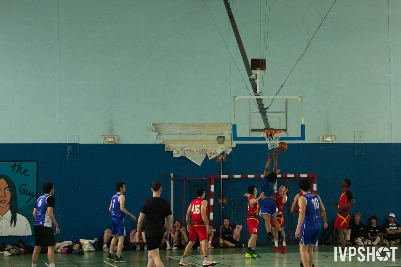 Toss(523)