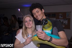 IMG 2550