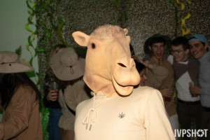 IMG 0093