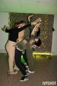 IMG 8