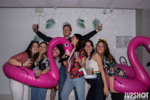 FestIVP-52