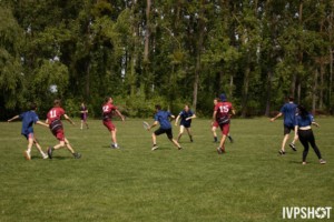 TOSS-146