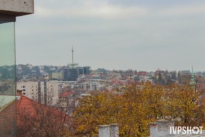 WEBDA-25