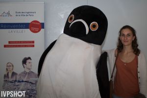 IMG 0960